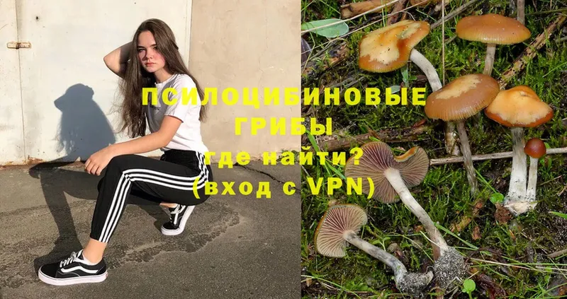 Псилоцибиновые грибы Magic Shrooms  где купить наркоту  Мензелинск 